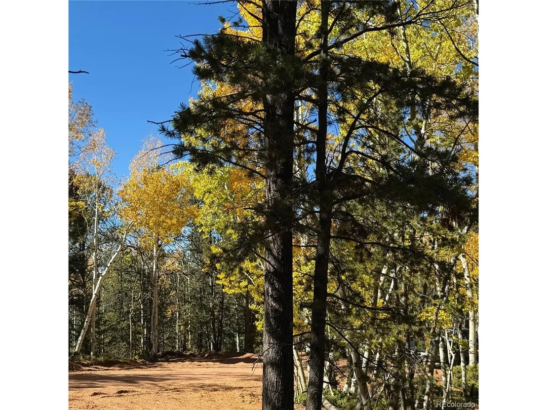 Photo of 800 Timber Ridge Rd