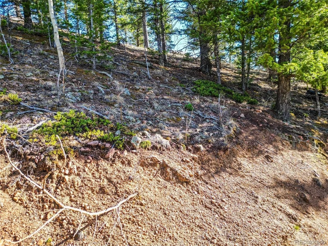 Photo of 272 Wise Rd