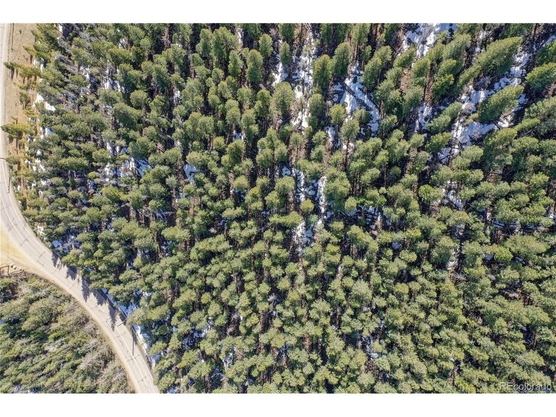 Photo of 0 Saddleback