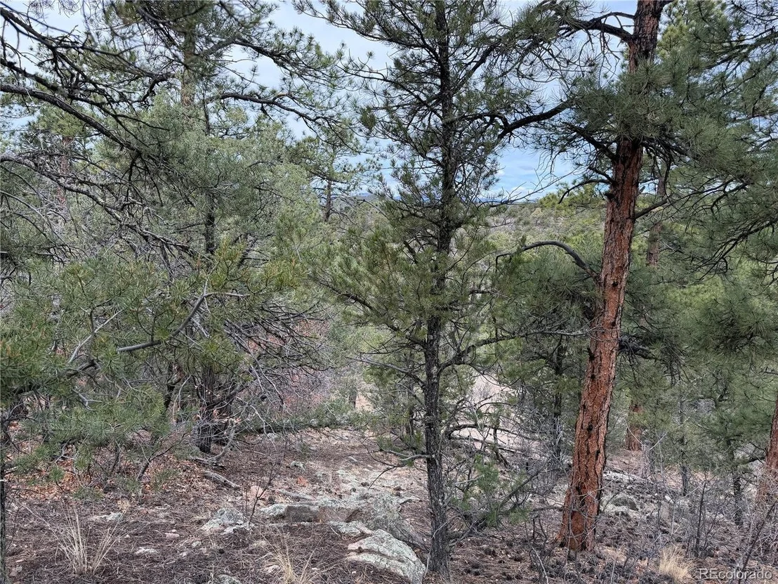 Photo of 672 Coyote Run Trl