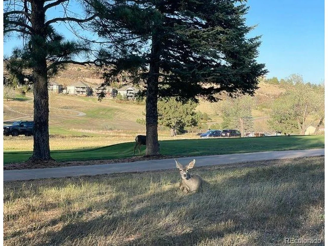 Photo of 5203 Golf Course Dr
