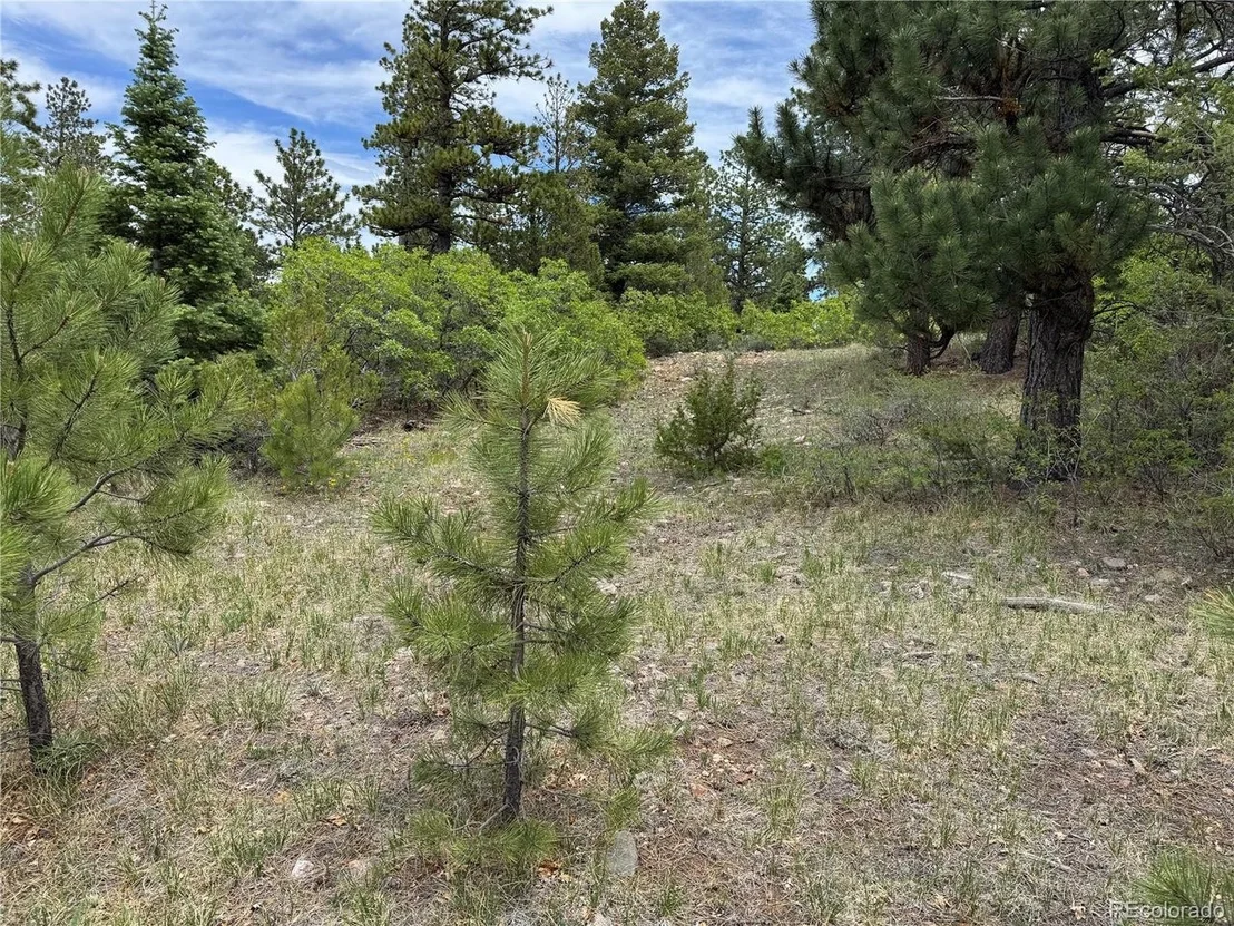 Photo of Knotty Pine Rd