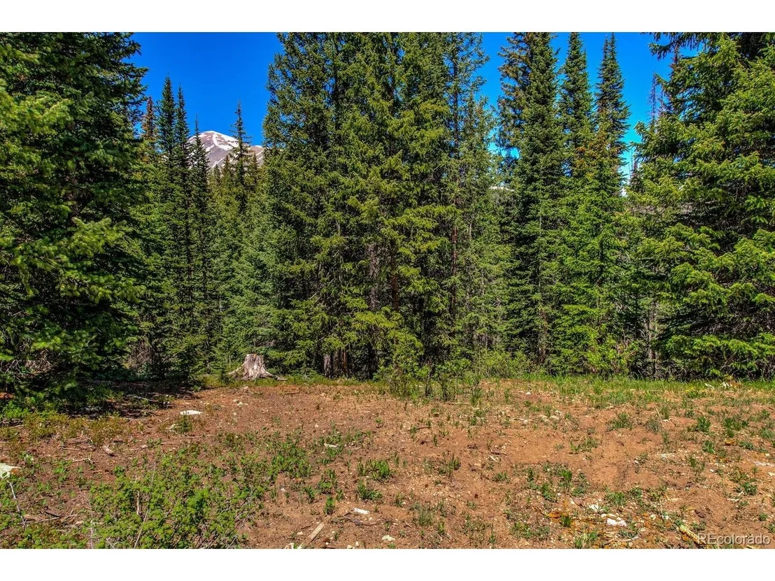 Photo of 307 CR 674