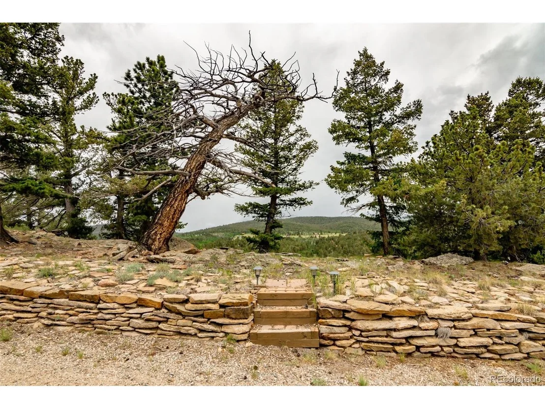 Photo of 3900 Singletree Rd