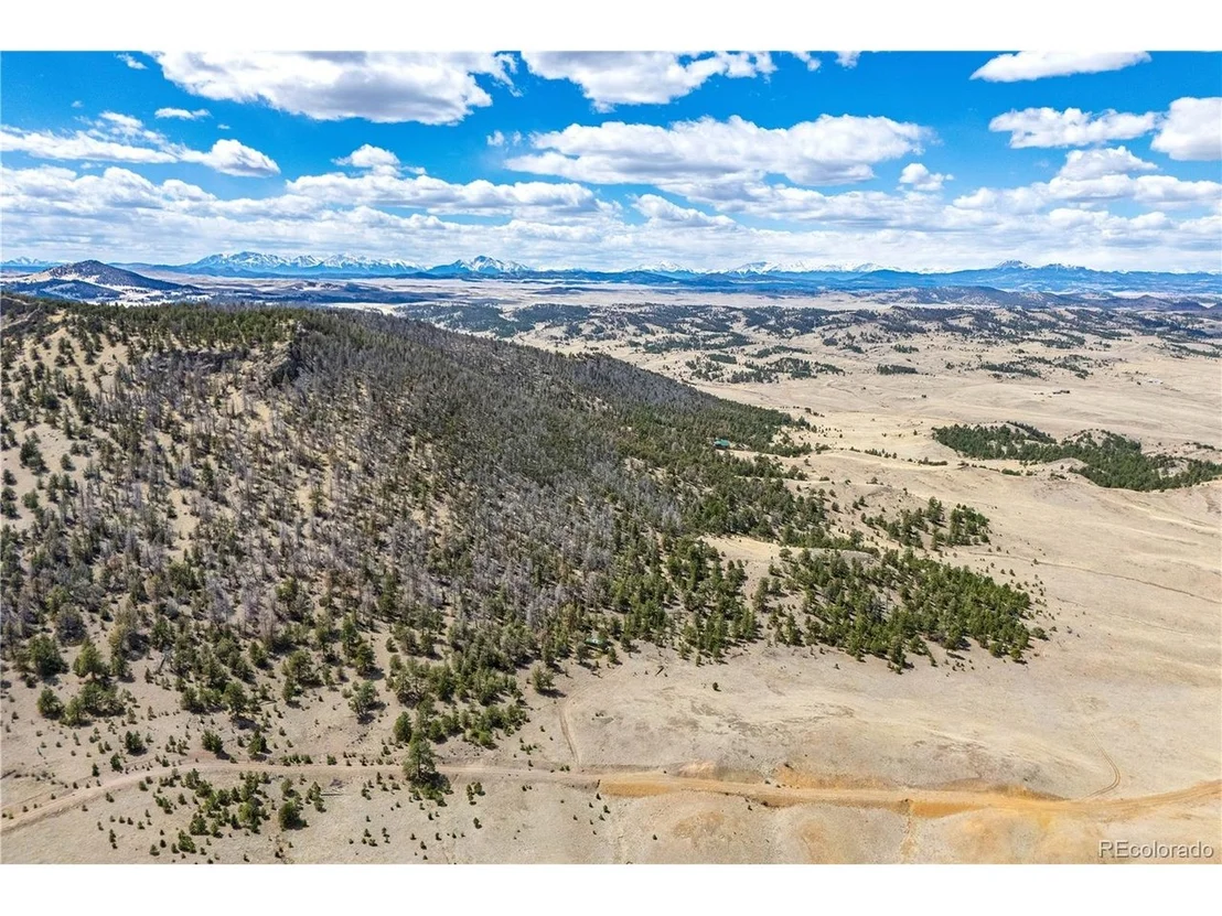 Photo of 2181 Cr-116