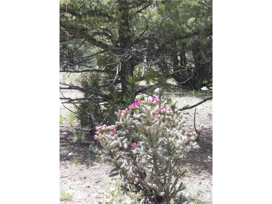 Photo of TBD