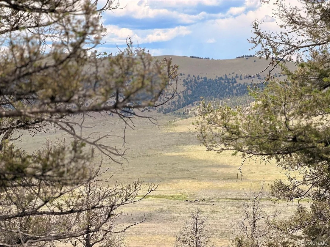 Photo of 1348 Middle Fork Vis
