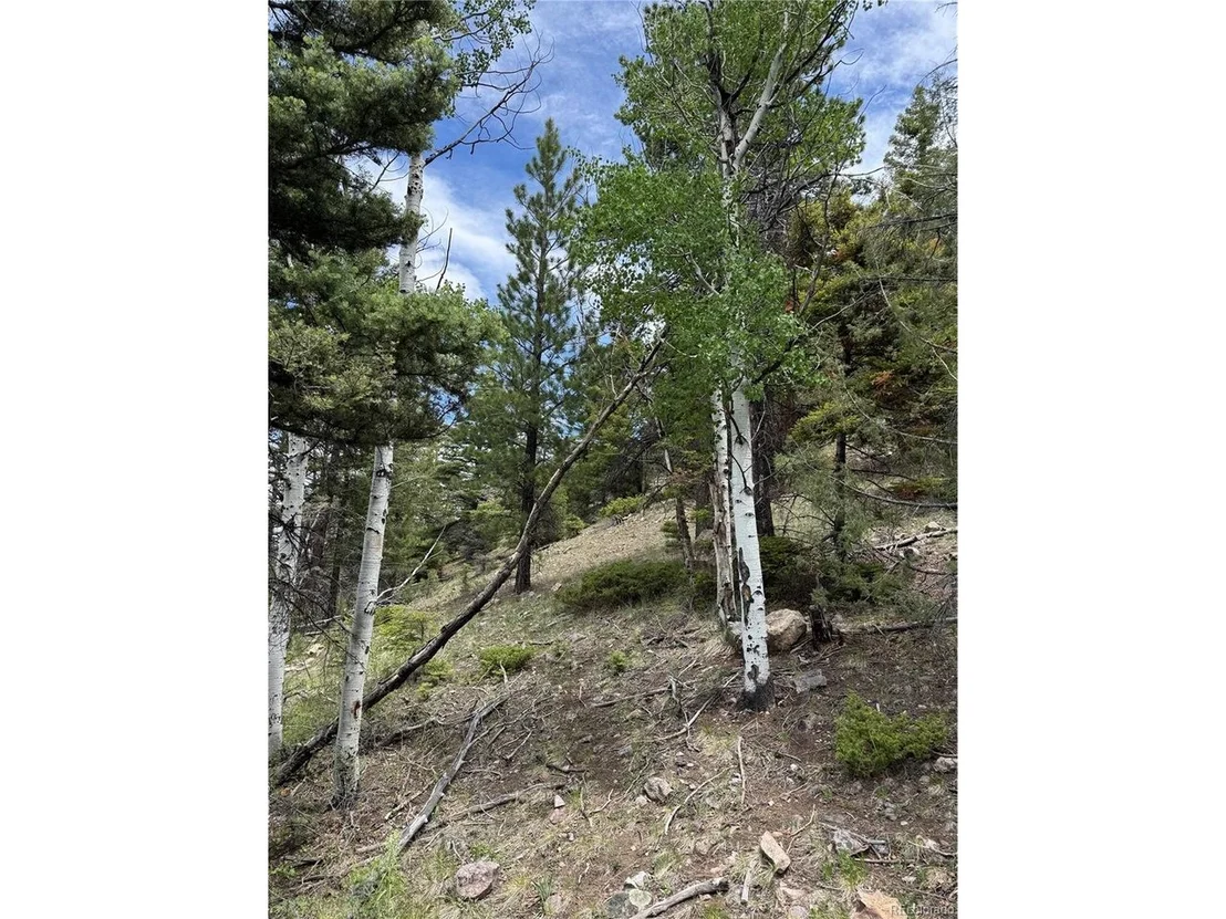Photo of Knotty Pine Rd