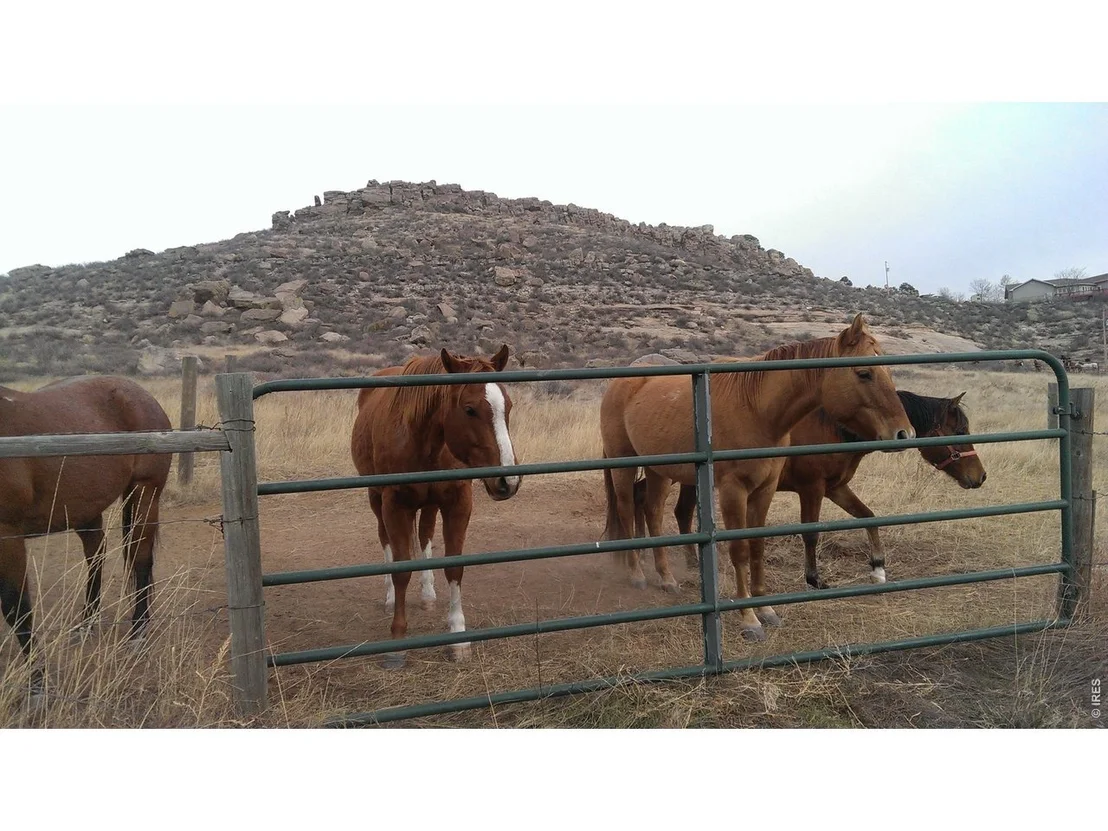 Photo of 4318 Green Mile Dr