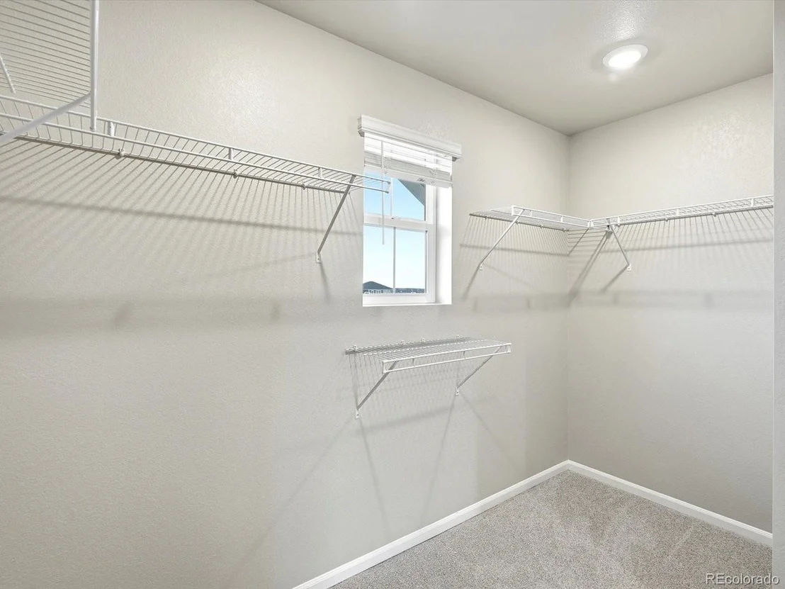 Photo of 1679 Yampa River Dr
