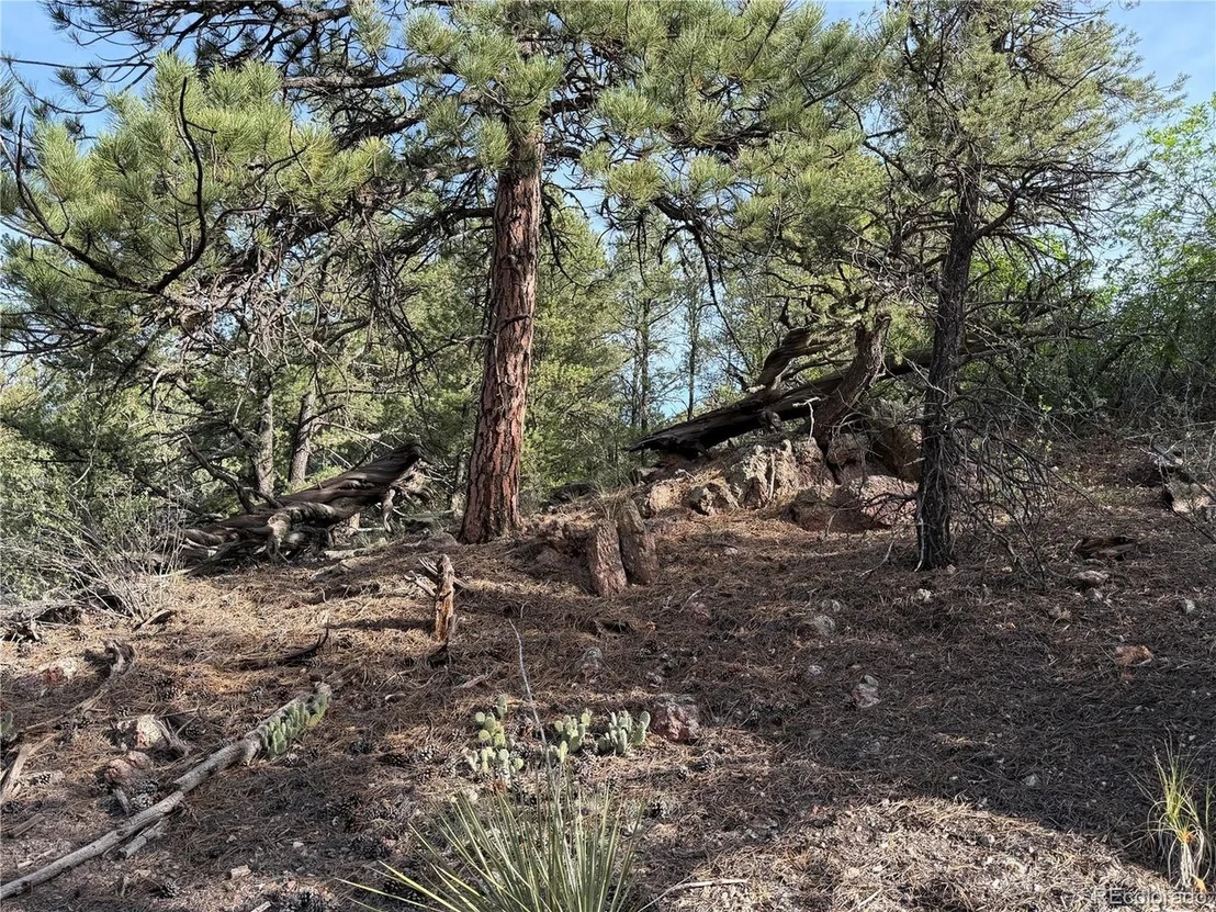 Photo of 594 Maurice Dr