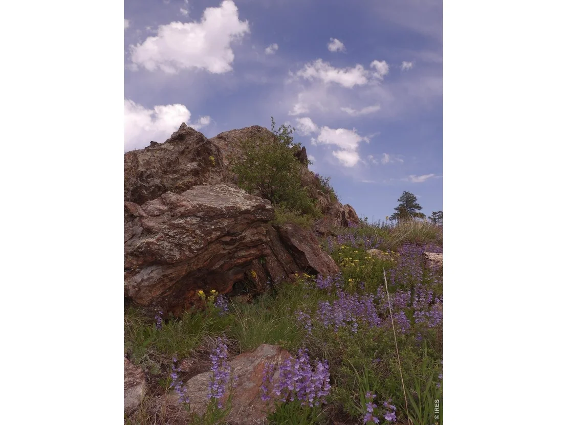 Photo of 3434 Davis Ranch Rd