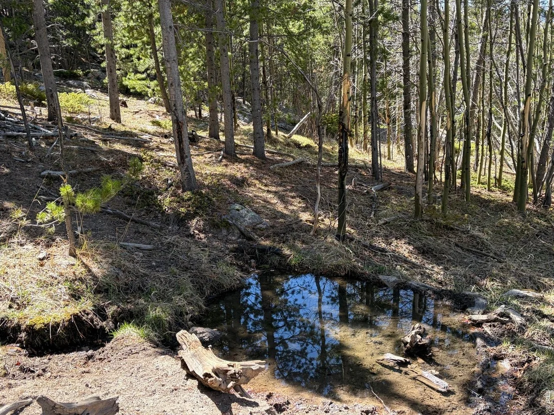 Photo of 2174 Bear Gulch Rd