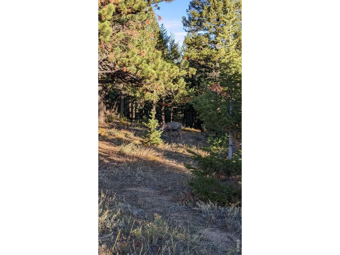 Photo of 1312 Chute Rd
