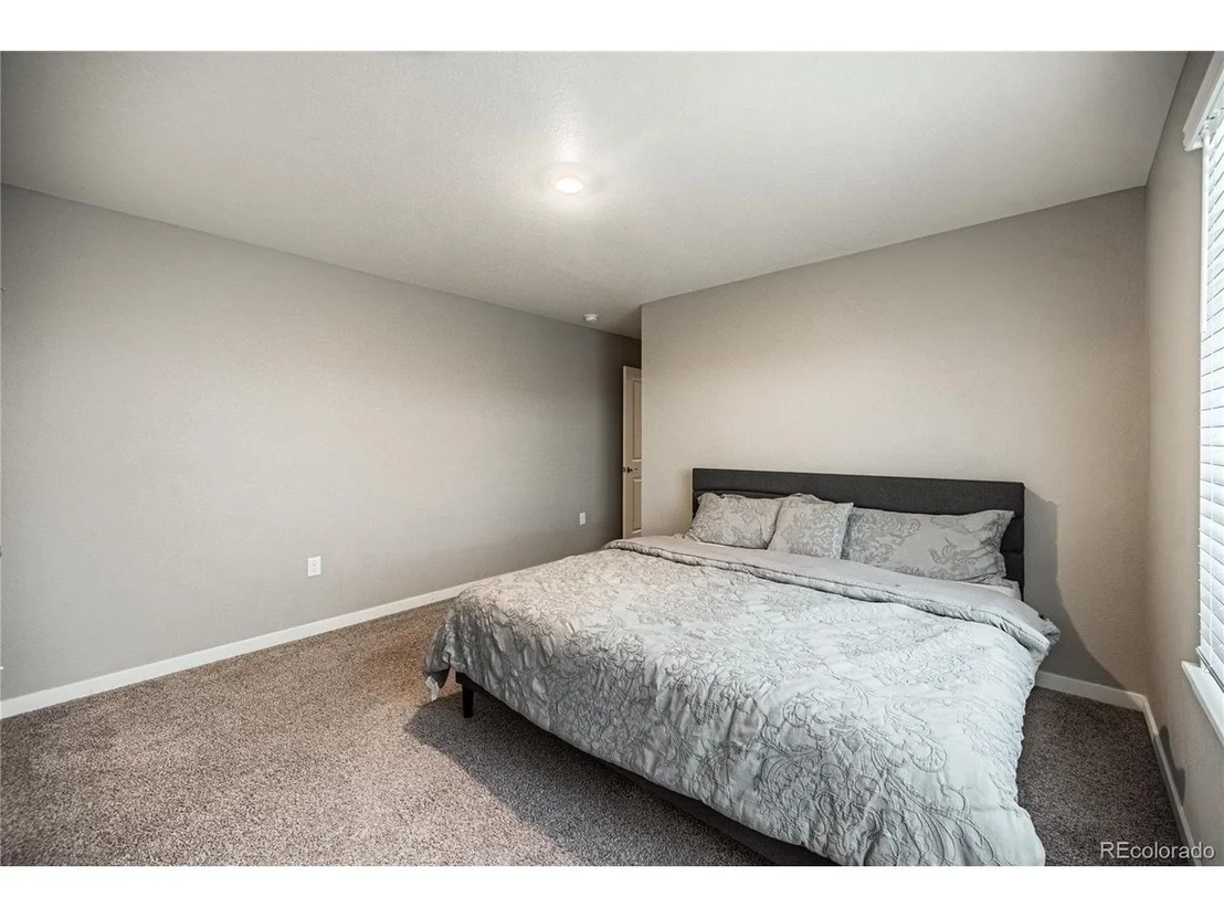 Photo of 17308 Red Cosmos Pt