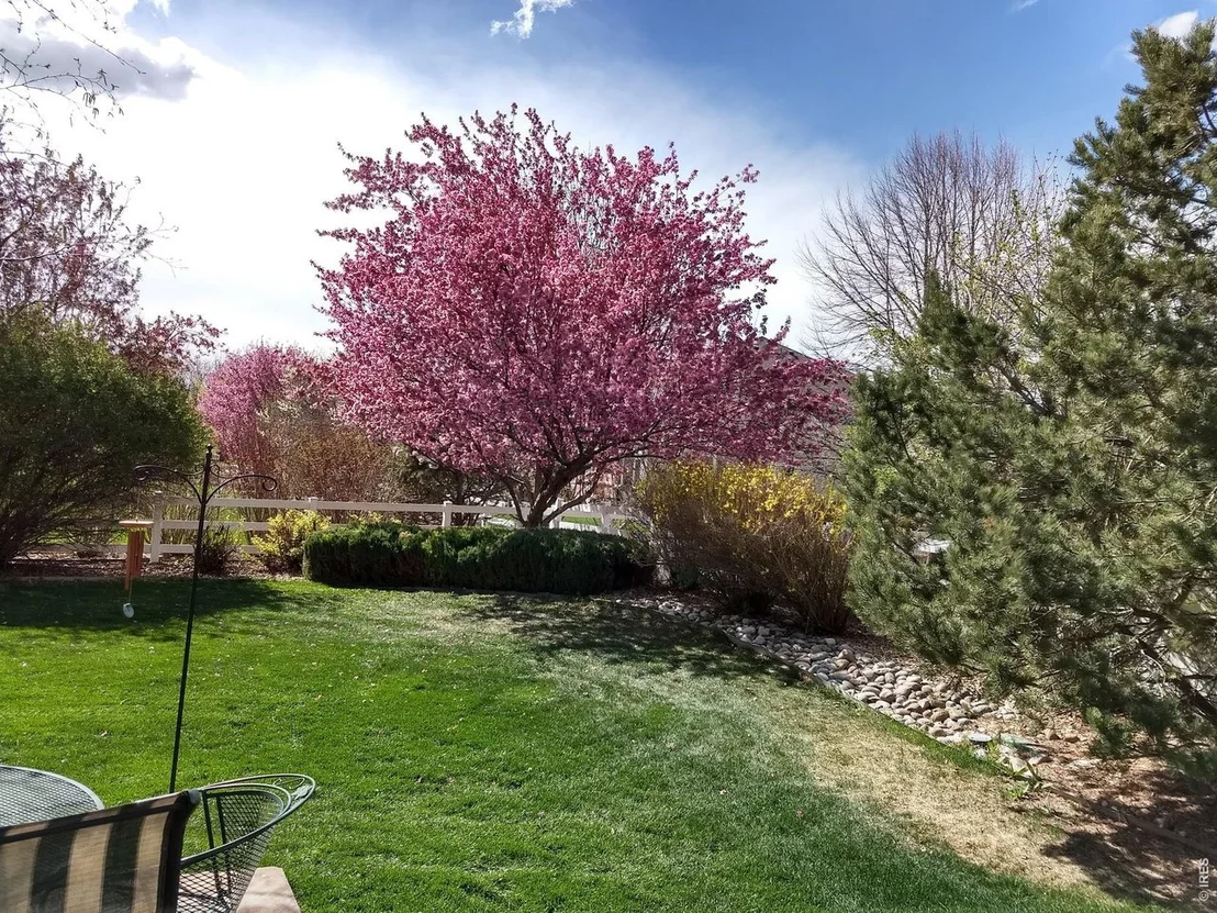 Photo of 1044 Willow Creek Cir
