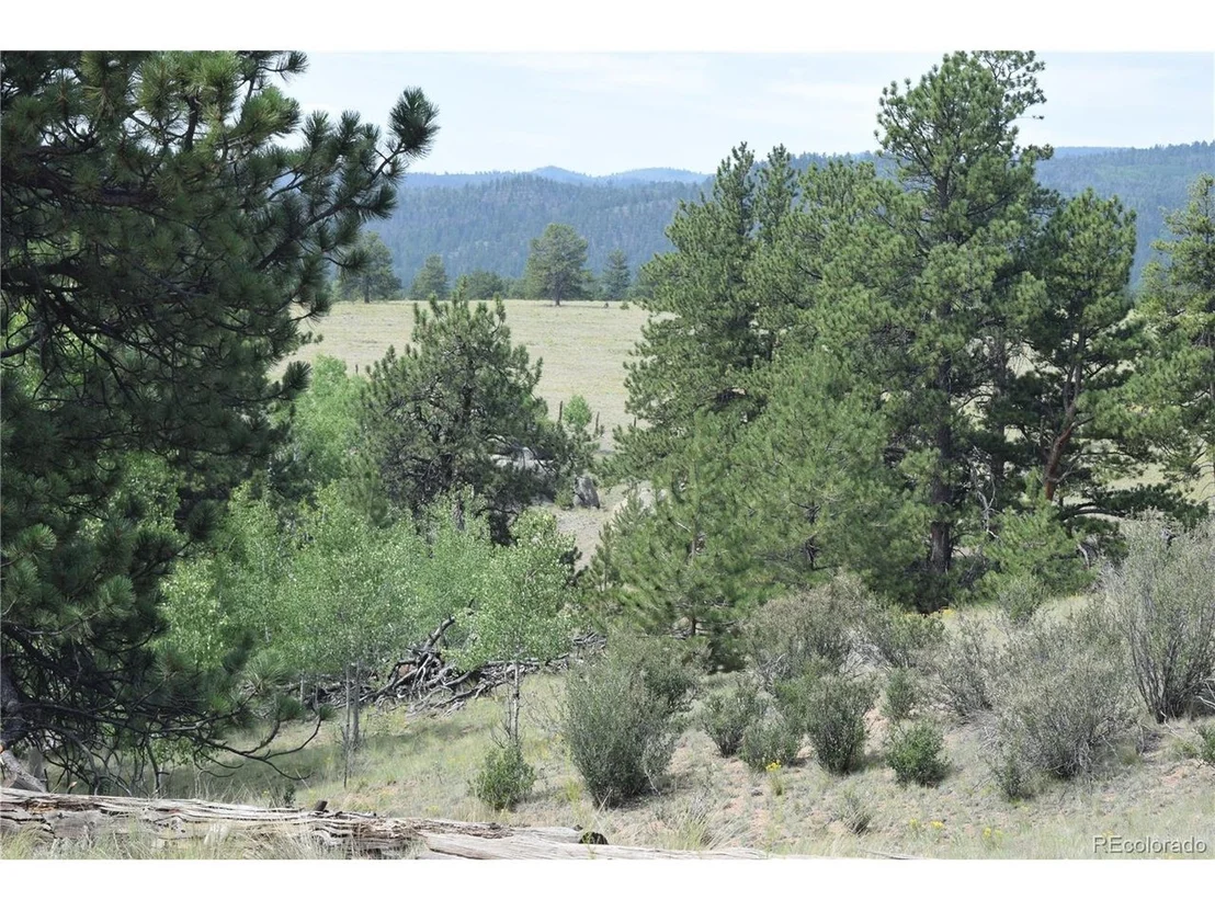 Photo of 1651 Aspen Trl