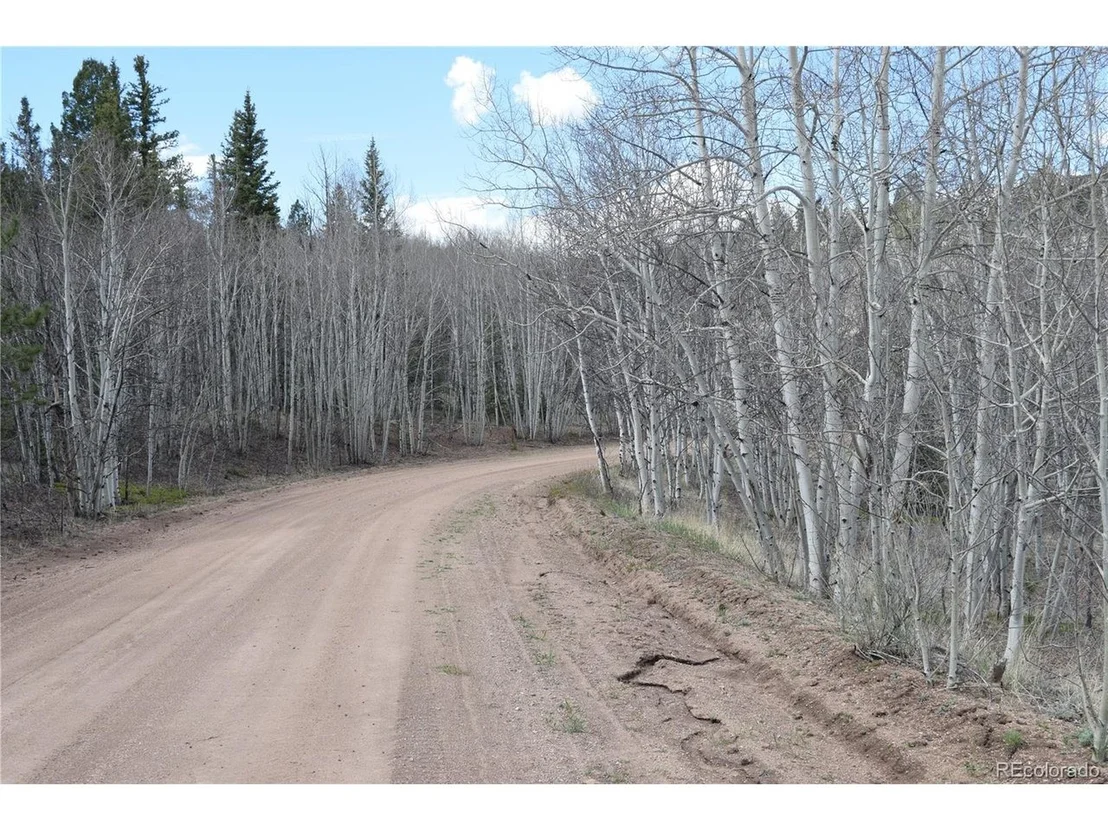 Photo of 550 Aspen Trl