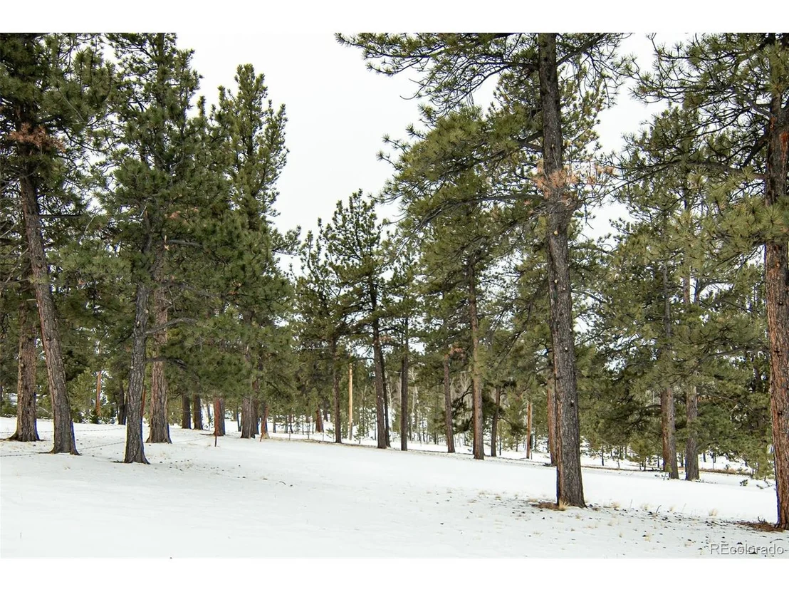 Photo of 8 Stampede Way