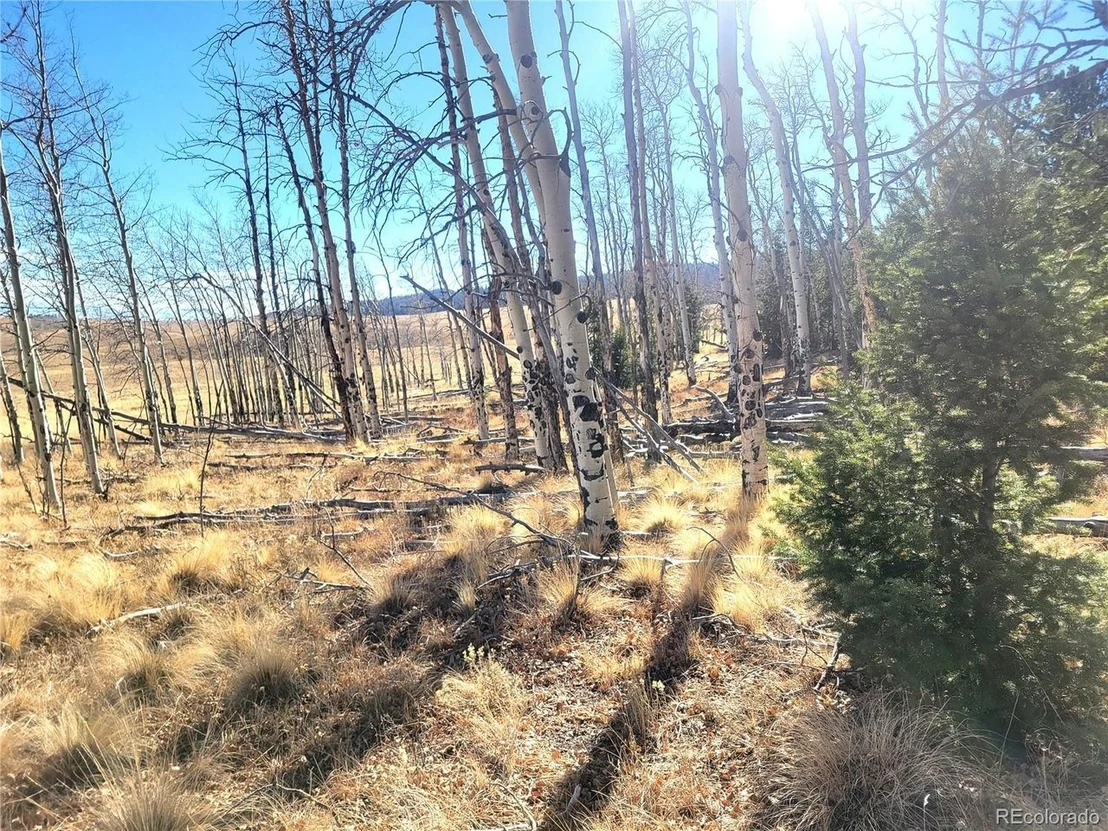 Photo of 8802 Ranch Rd
