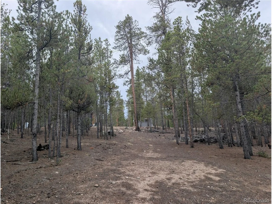 Photo of 663 Spruce Dr