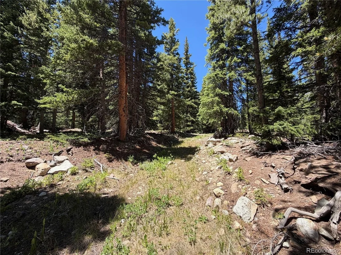 Photo of 339 Silverheels Pl