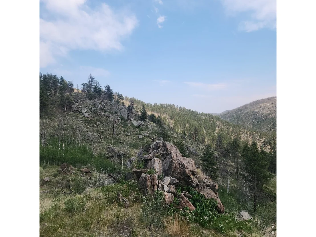 Photo of 693 Cougar Dr
