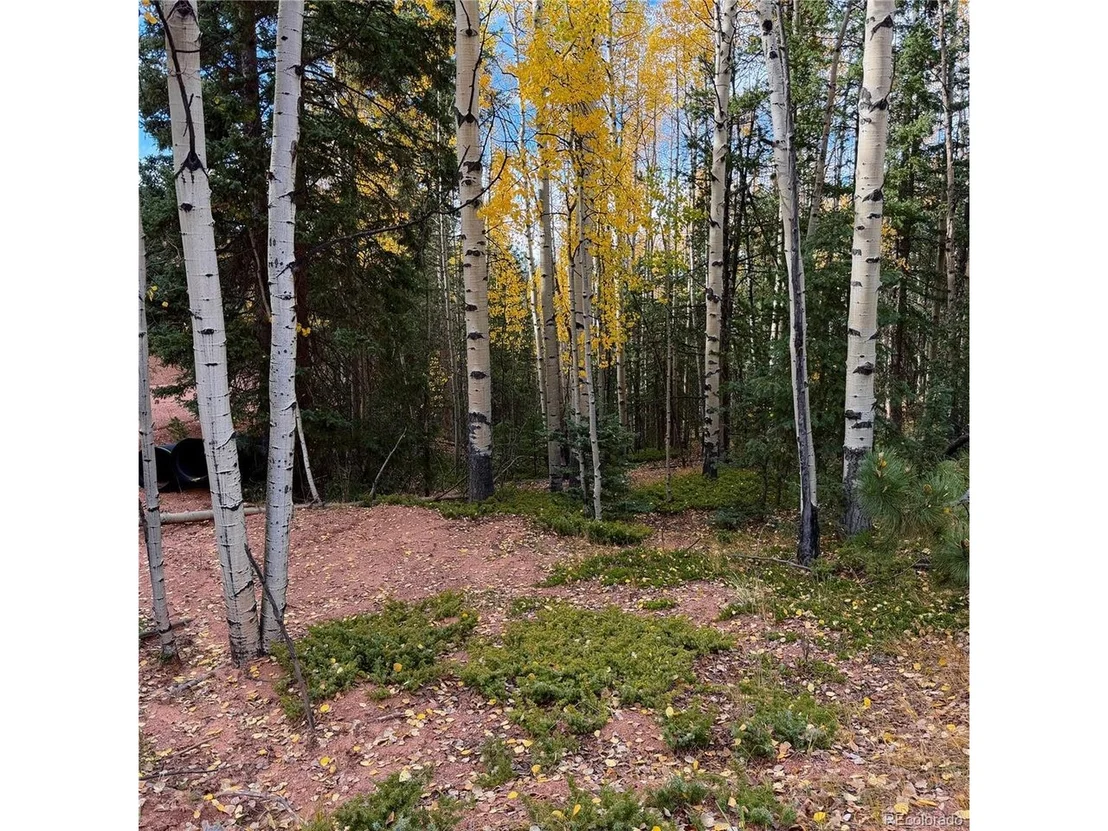 Photo of 1341 Calcite Dr