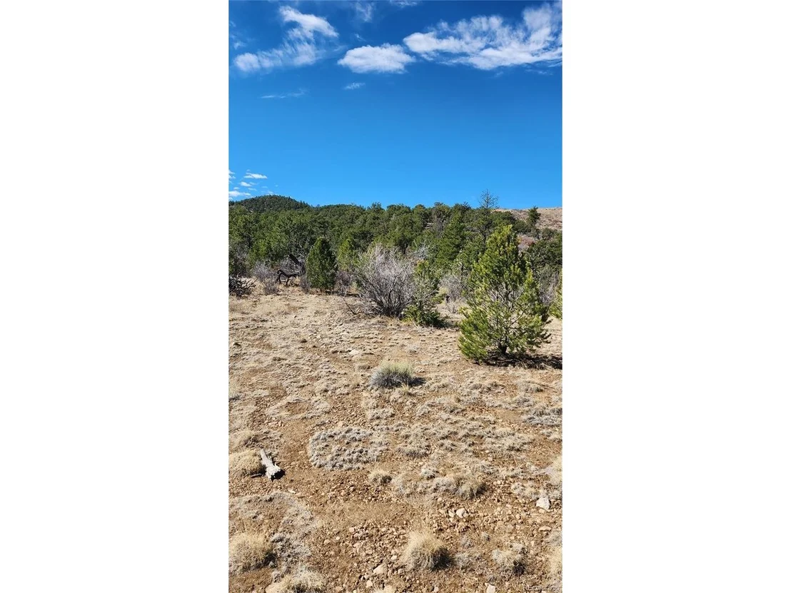 Photo of I Path