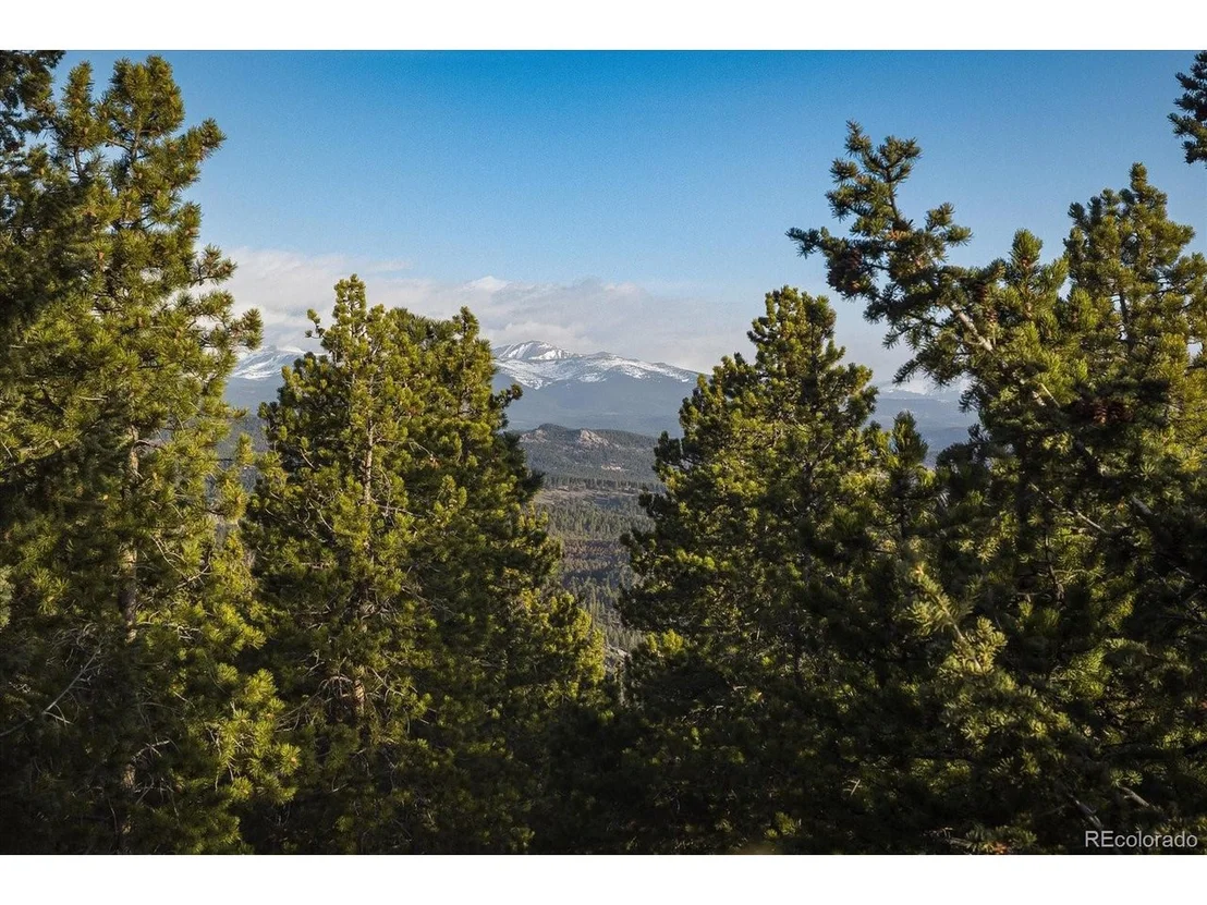 Photo of 44 Wonder Trl