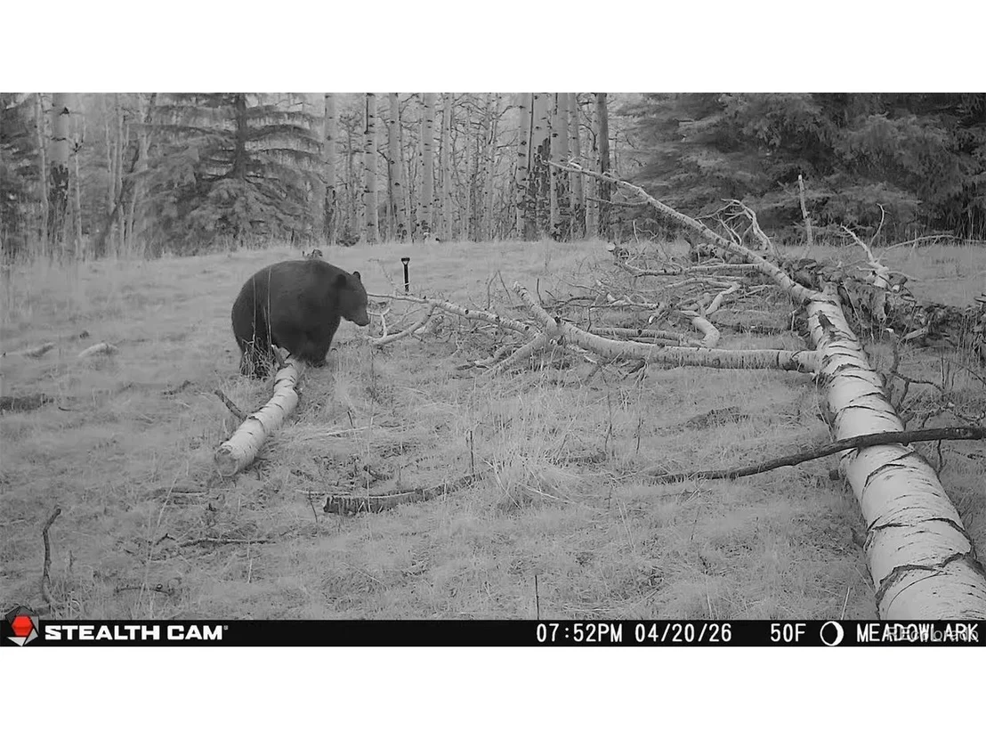 Photo of 0 Snyder Mountain Rd