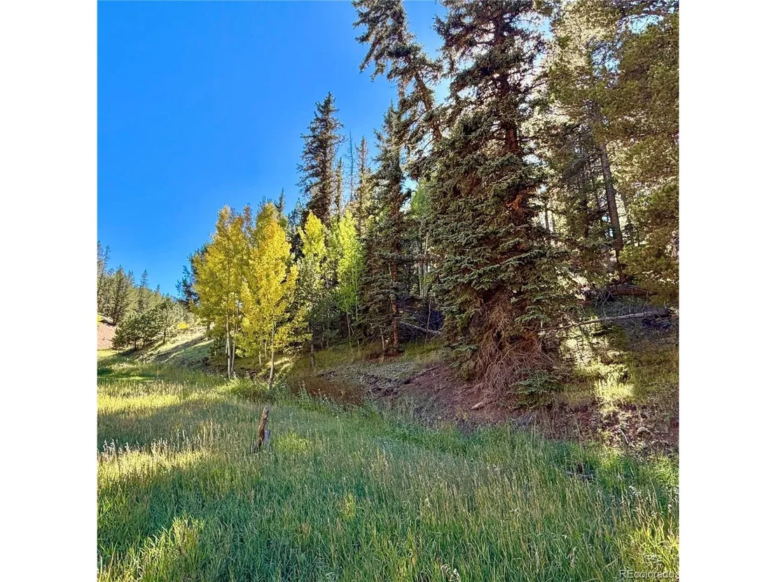Photo of 535 Willow Rd
