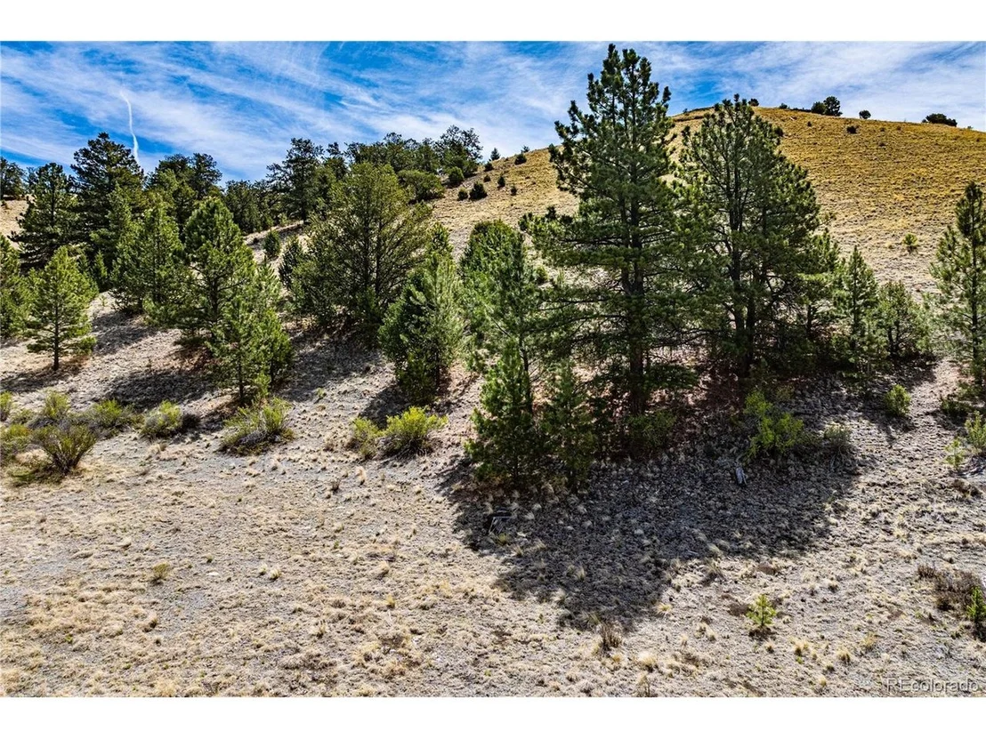 Photo of 1282 County Road 169a