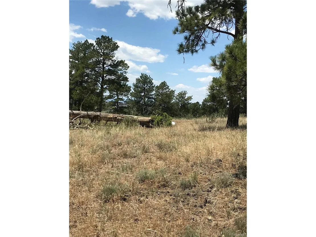 Photo of 10560 Shadow Pines Rd