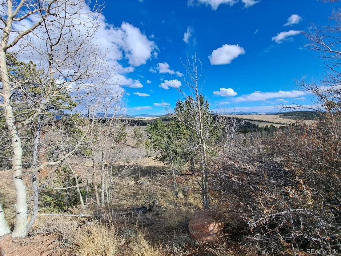 Photo of 908 Raven Way
