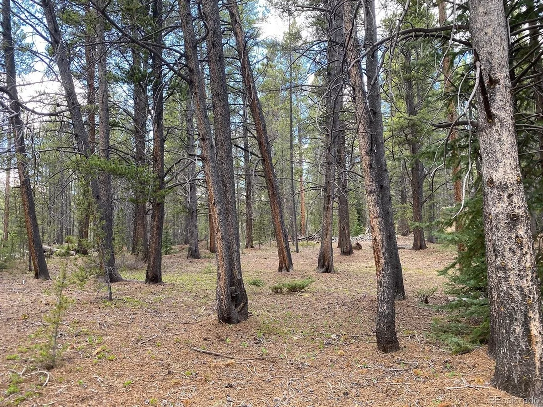Photo of County Road 50
