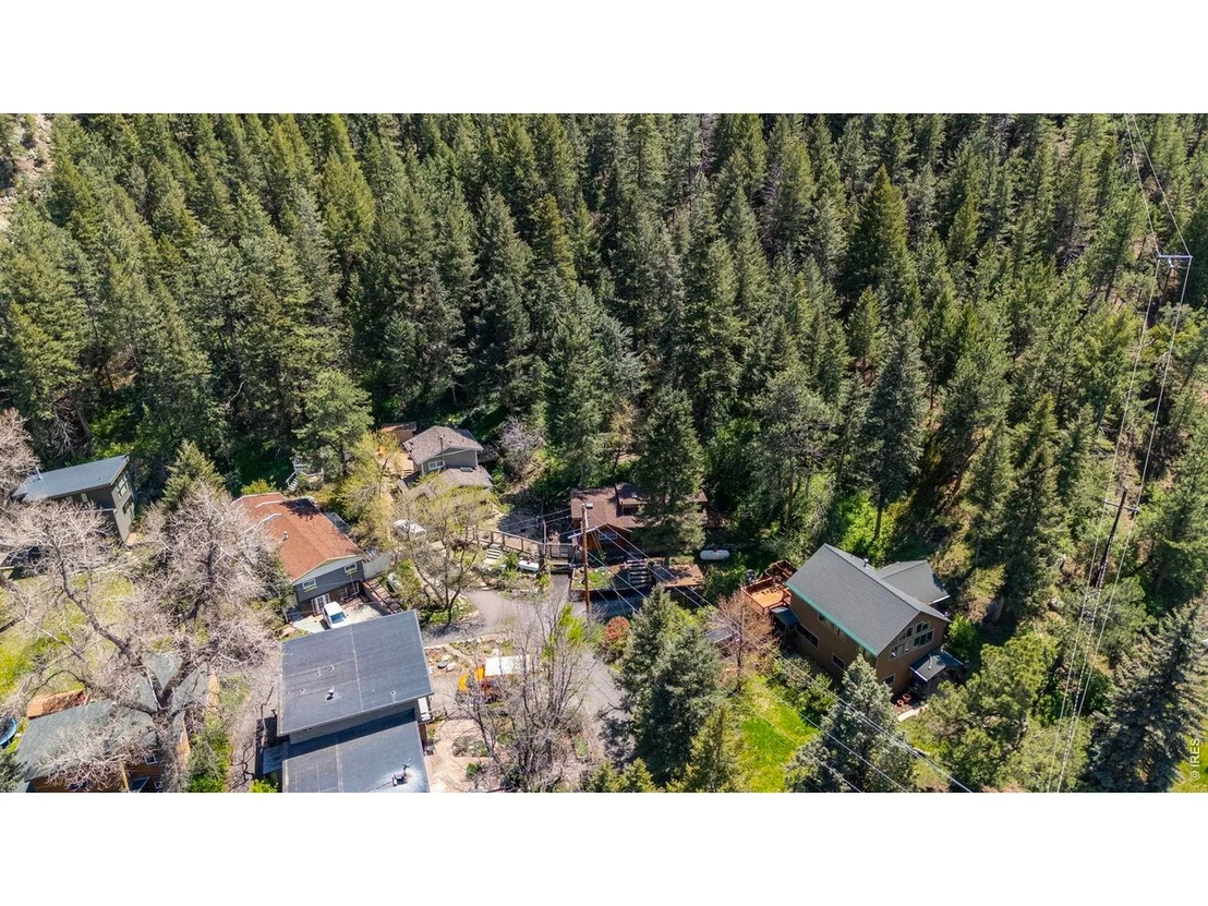 Photo of 41 Silver Spruce