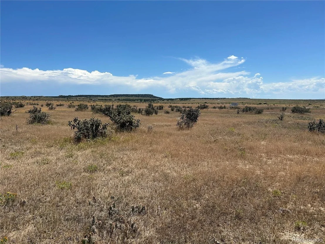 Photo of 4 Outback Ranch
