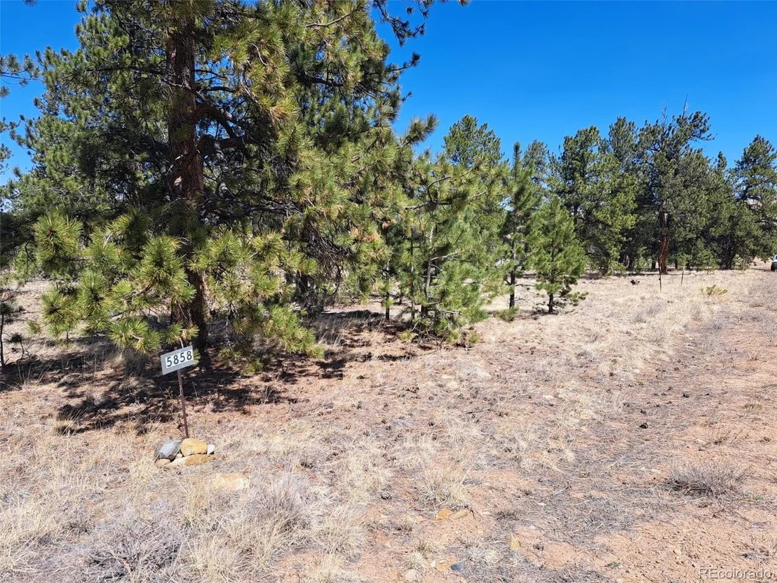 Photo of 235 Maricopa Trl