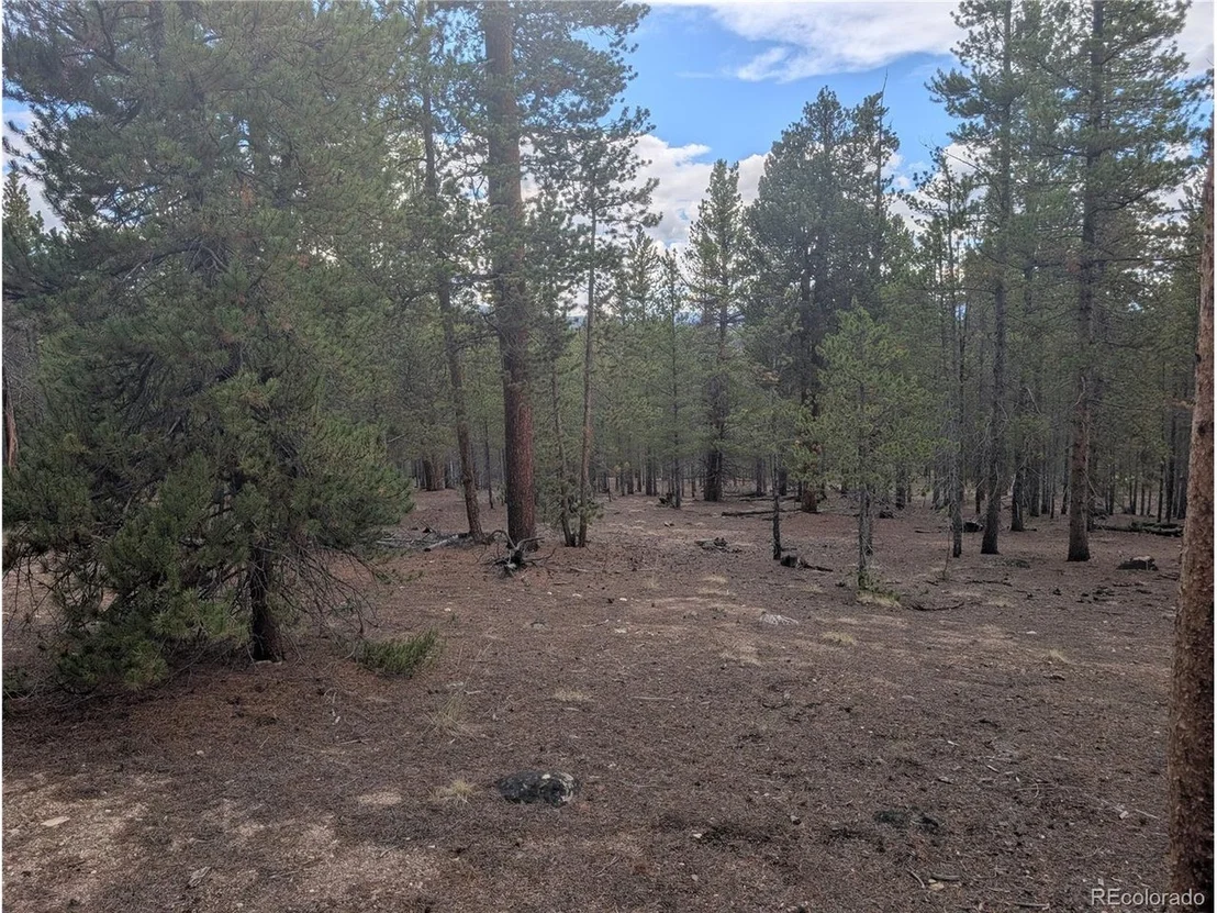 Photo of 663 Spruce Dr
