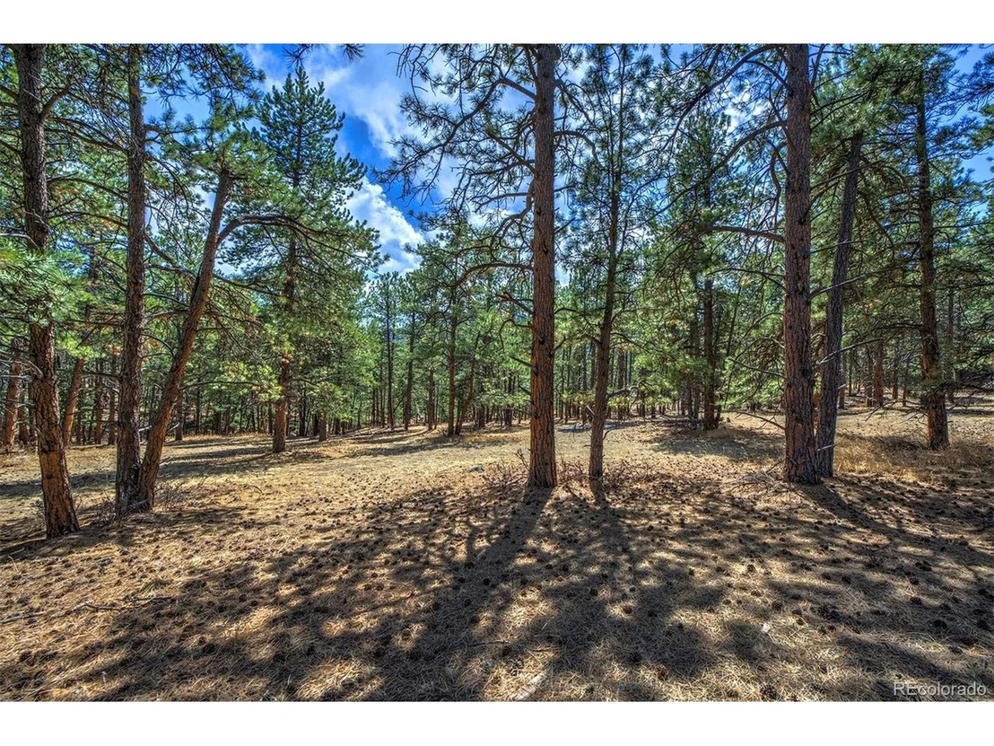 Photo of 27554 Pine Valley Dr