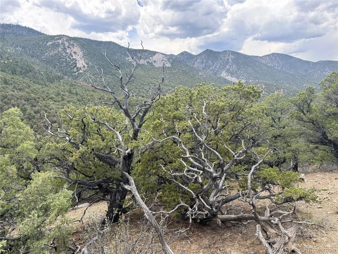 Photo of 3282 Lower Camp Rd