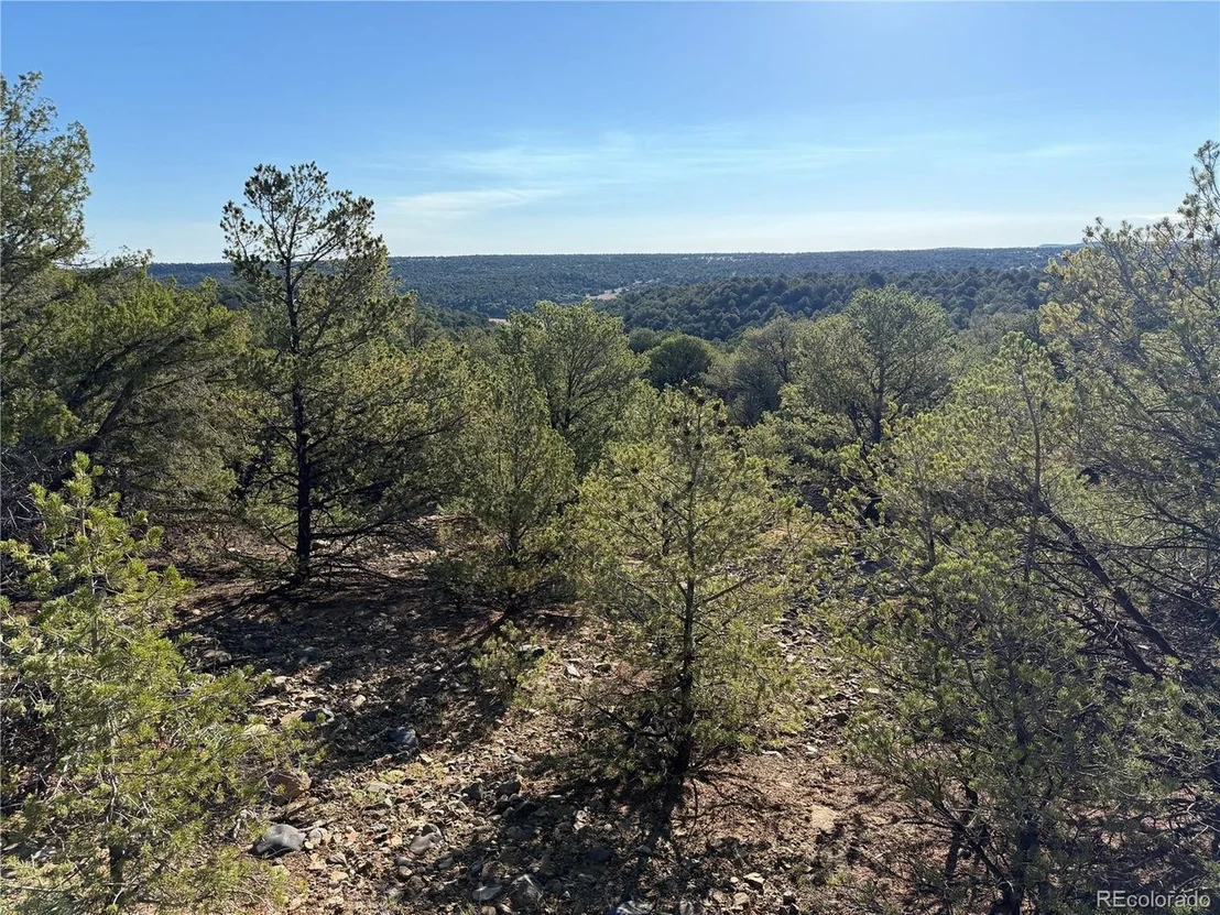 Photo of 141 River Ridge Ranch