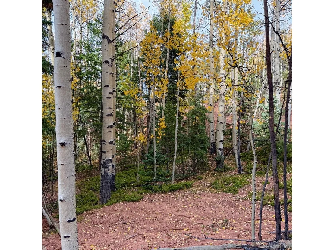 Photo of 1341 Calcite Dr