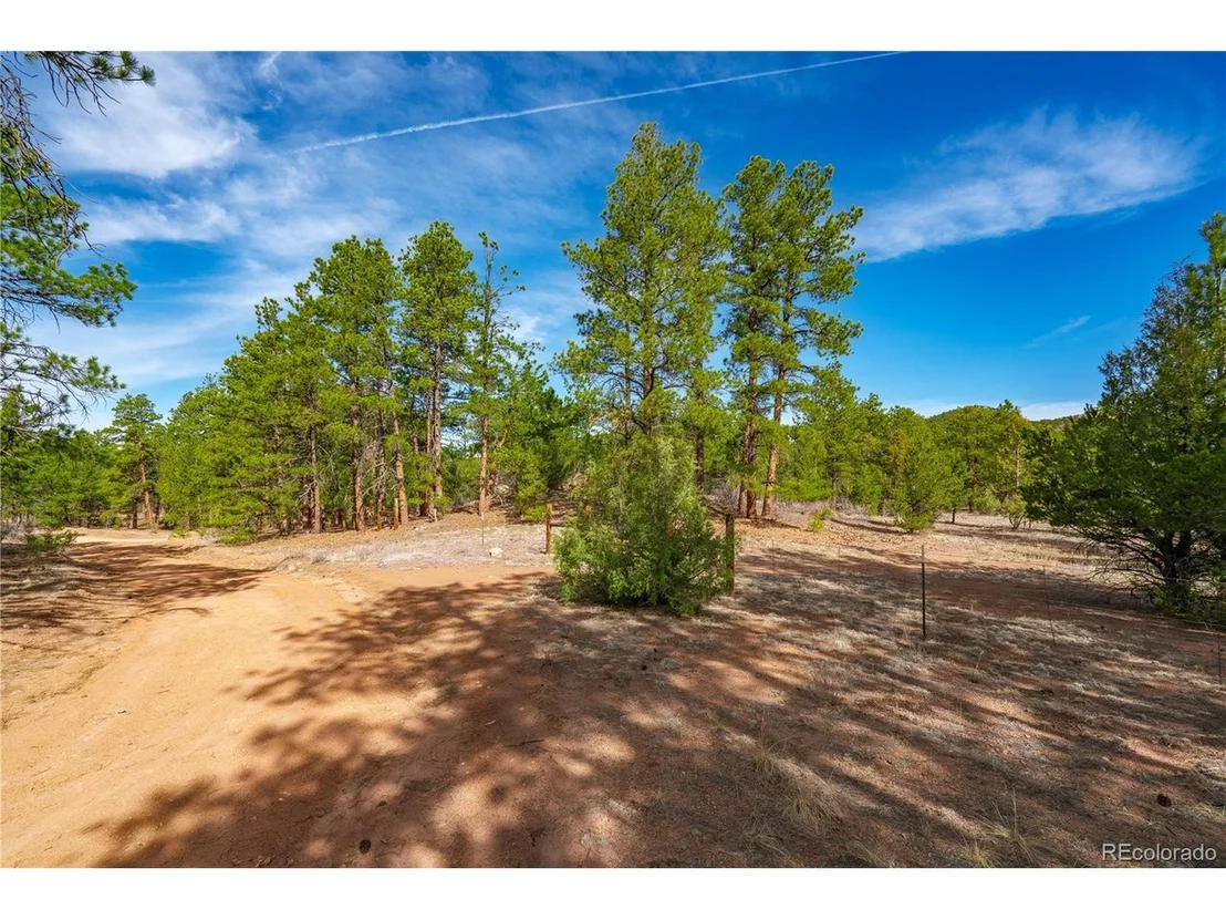Photo of 870 Oak Dr
