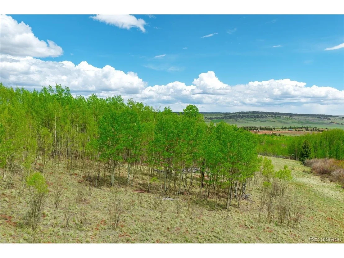 Photo of 562 Palmer Peak Dr