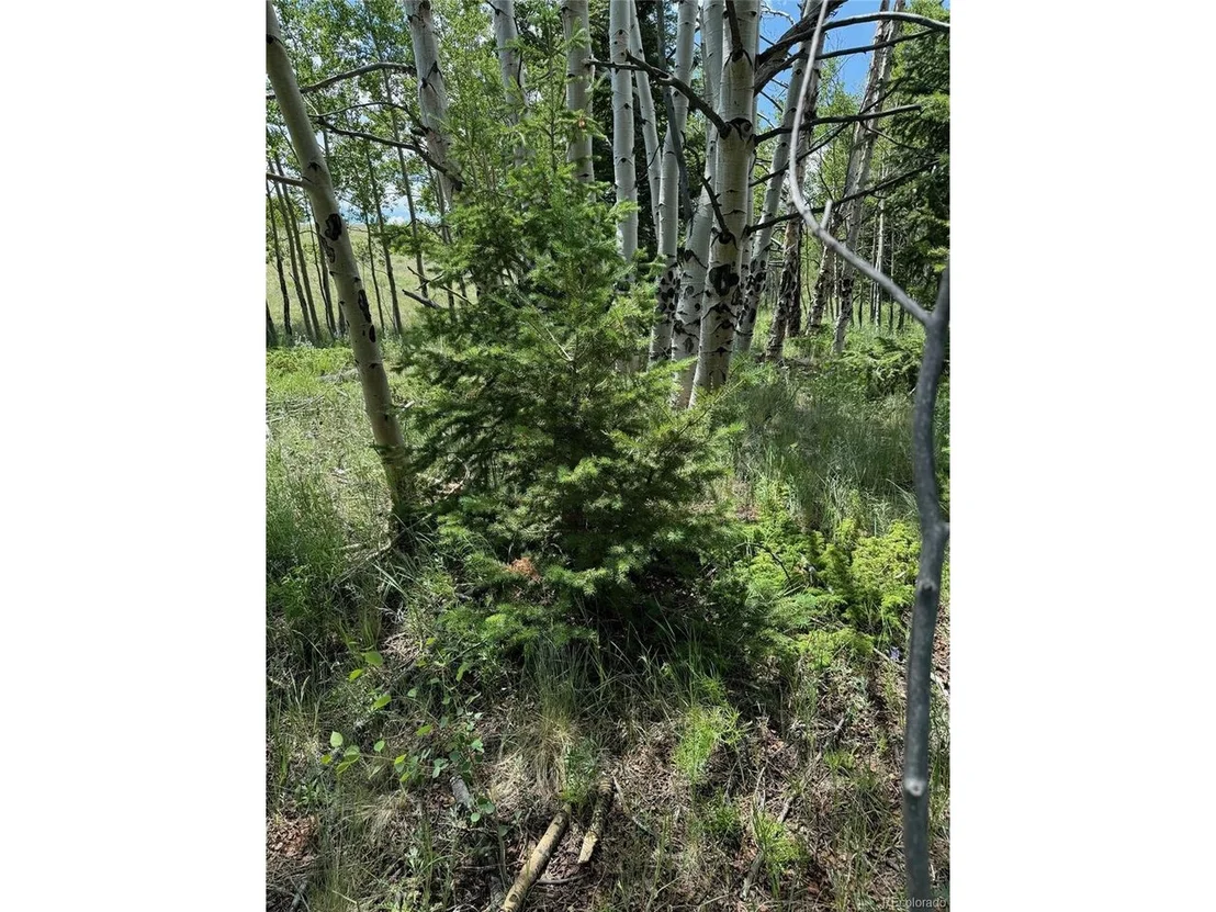 Photo of 728 Stacker Dr