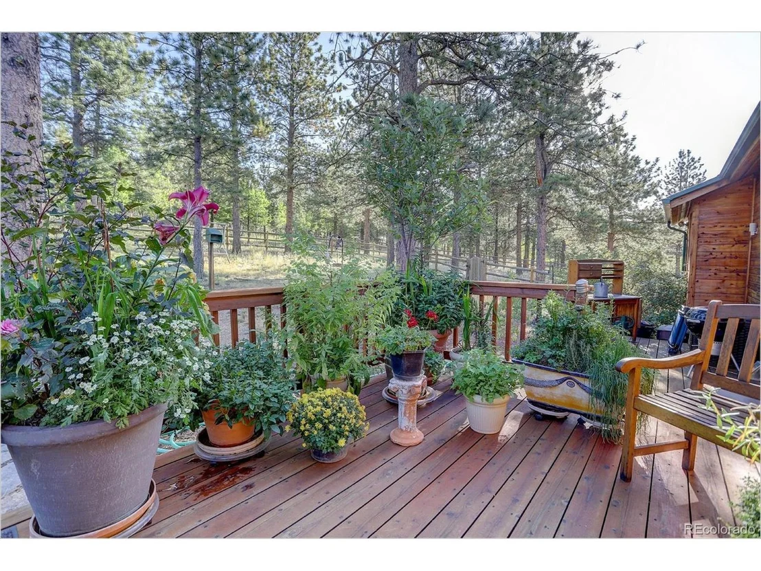 Photo of 109 Royal Ridge Dr