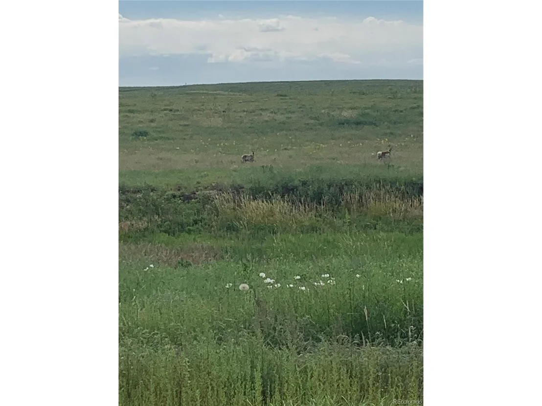 Photo of 10183 Rolling Vista Trl