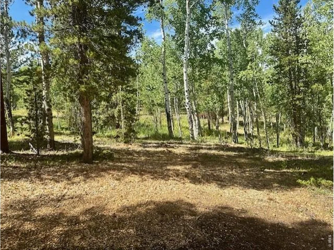 Photo of 293 Aspen Cir